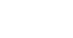 Feature