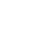 Feature